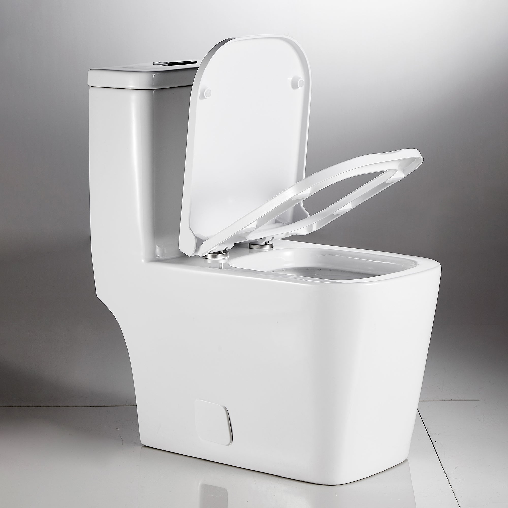 1-piece 0.88/1.28 GPF Dual Flush Elongated Toilet in White Seat Included