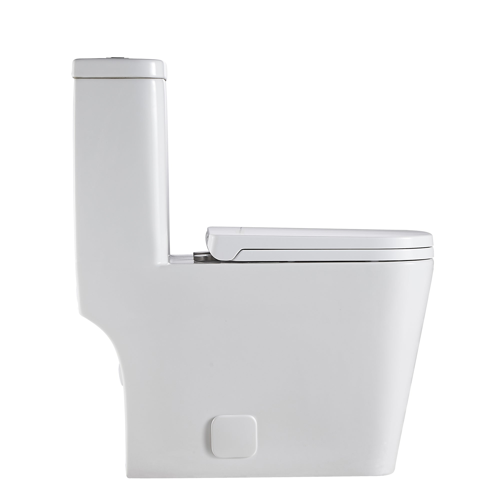 1-piece 0.88/1.28 GPF Dual Flush Elongated Toilet in White Seat Included