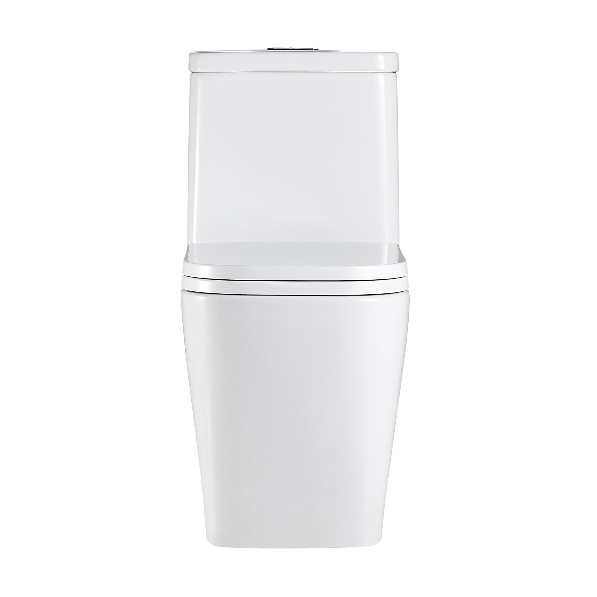 1-piece 0.88/1.28 GPF Dual Flush Elongated Toilet in White Seat Included