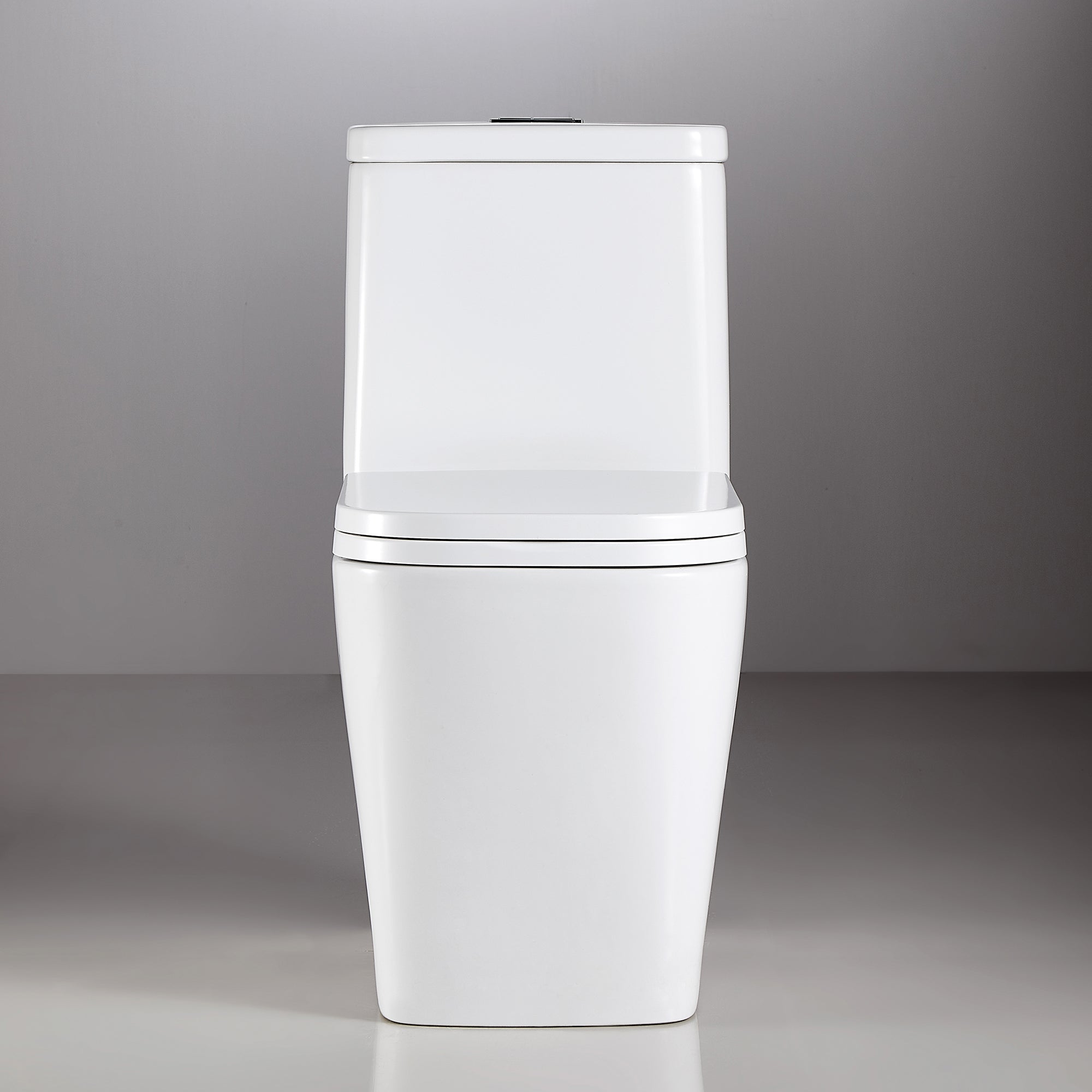 1-piece 0.88/1.28 GPF Dual Flush Elongated Toilet in White Seat Included