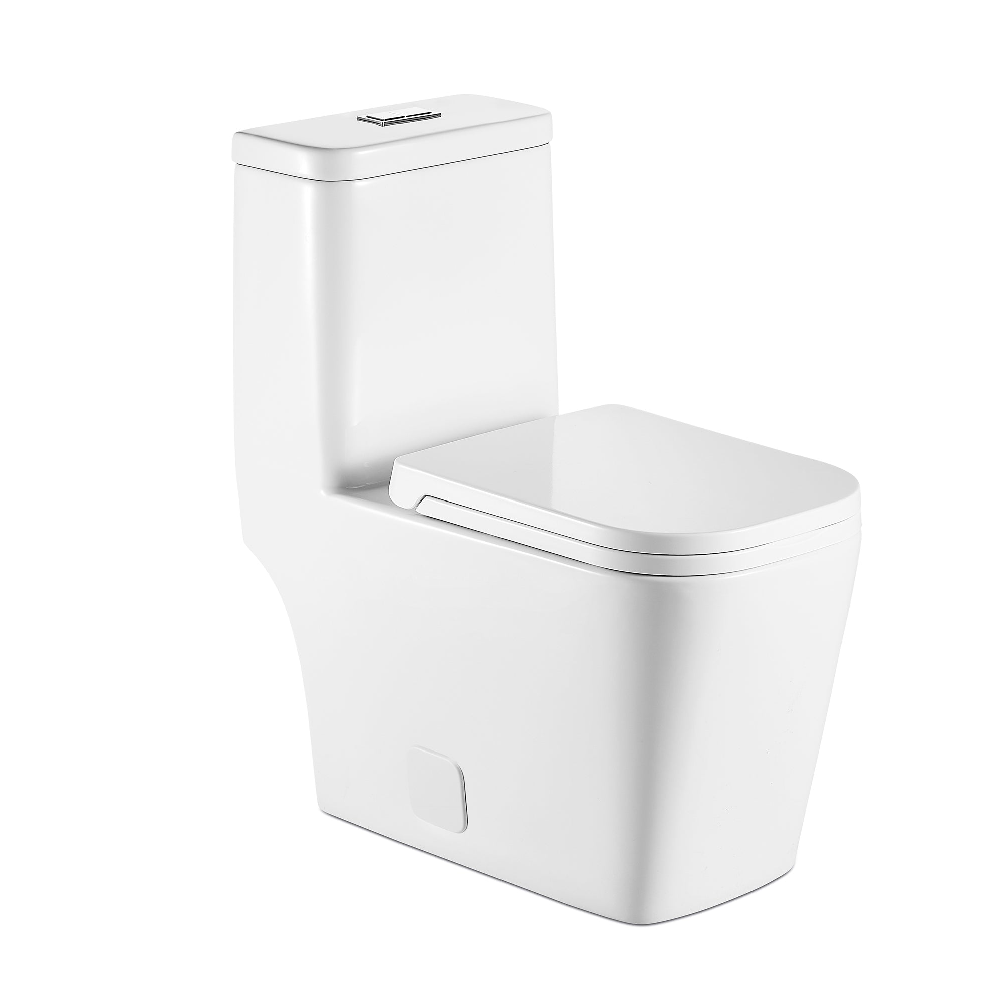 1-piece 0.88/1.28 GPF Dual Flush Elongated Toilet in White Seat Included