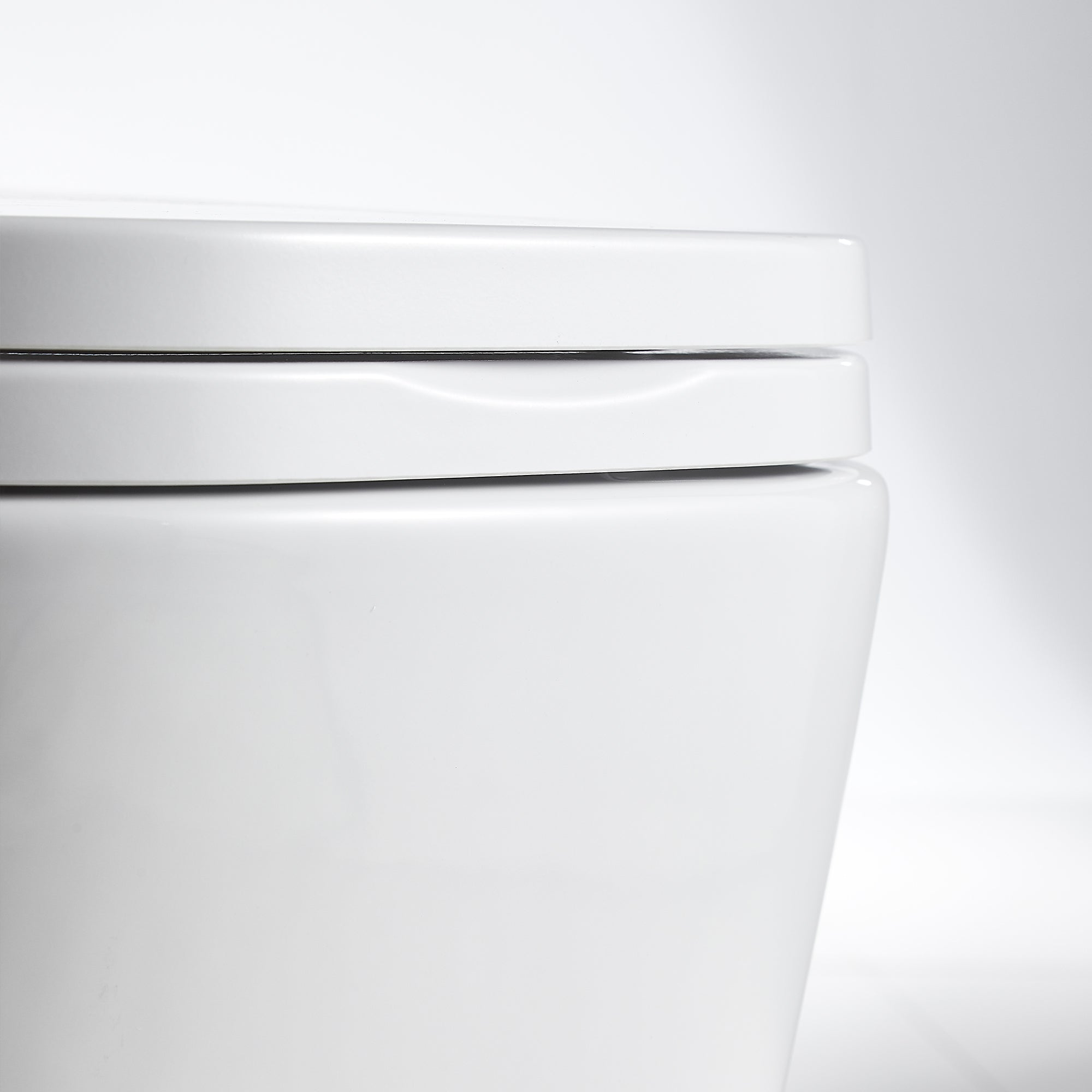 1-piece 0.88/1.28 GPF Dual Flush Elongated Toilet in White Seat Included