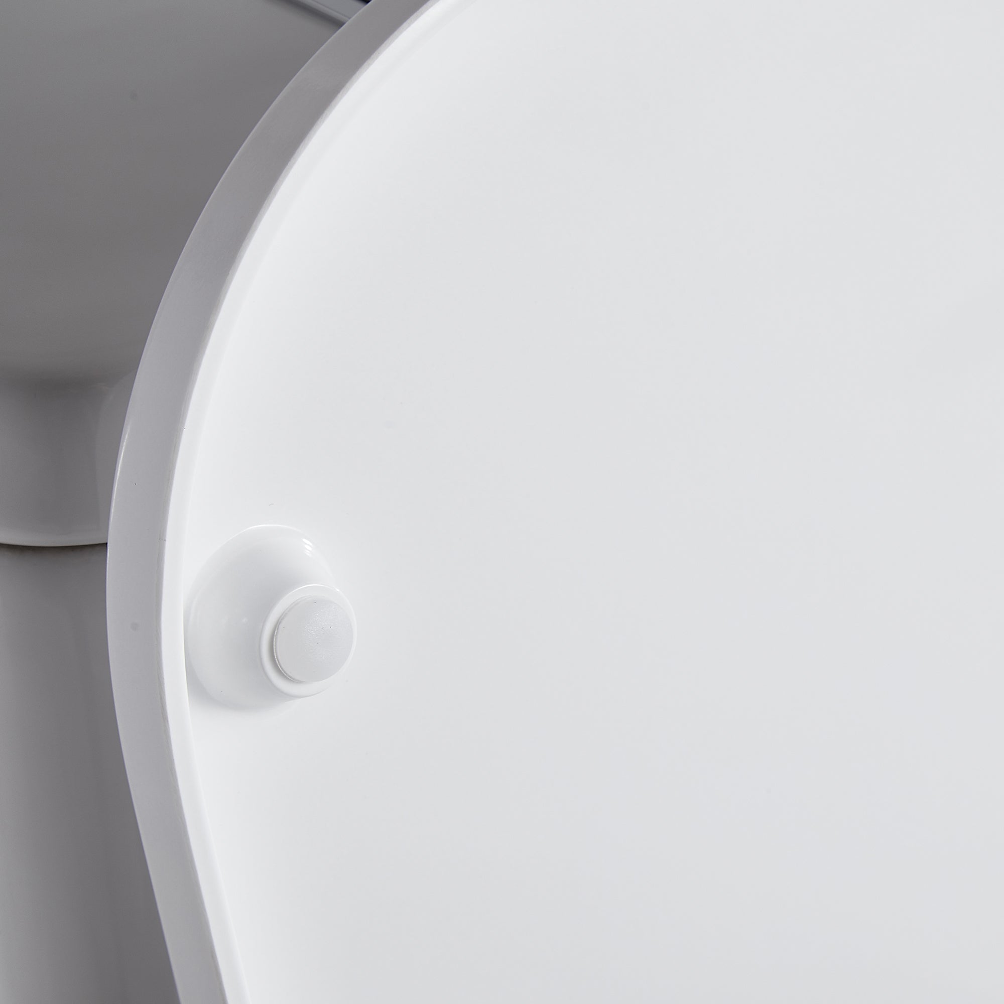 1-piece 0.88/1.28 GPF Dual Flush Elongated Toilet in White Seat Included