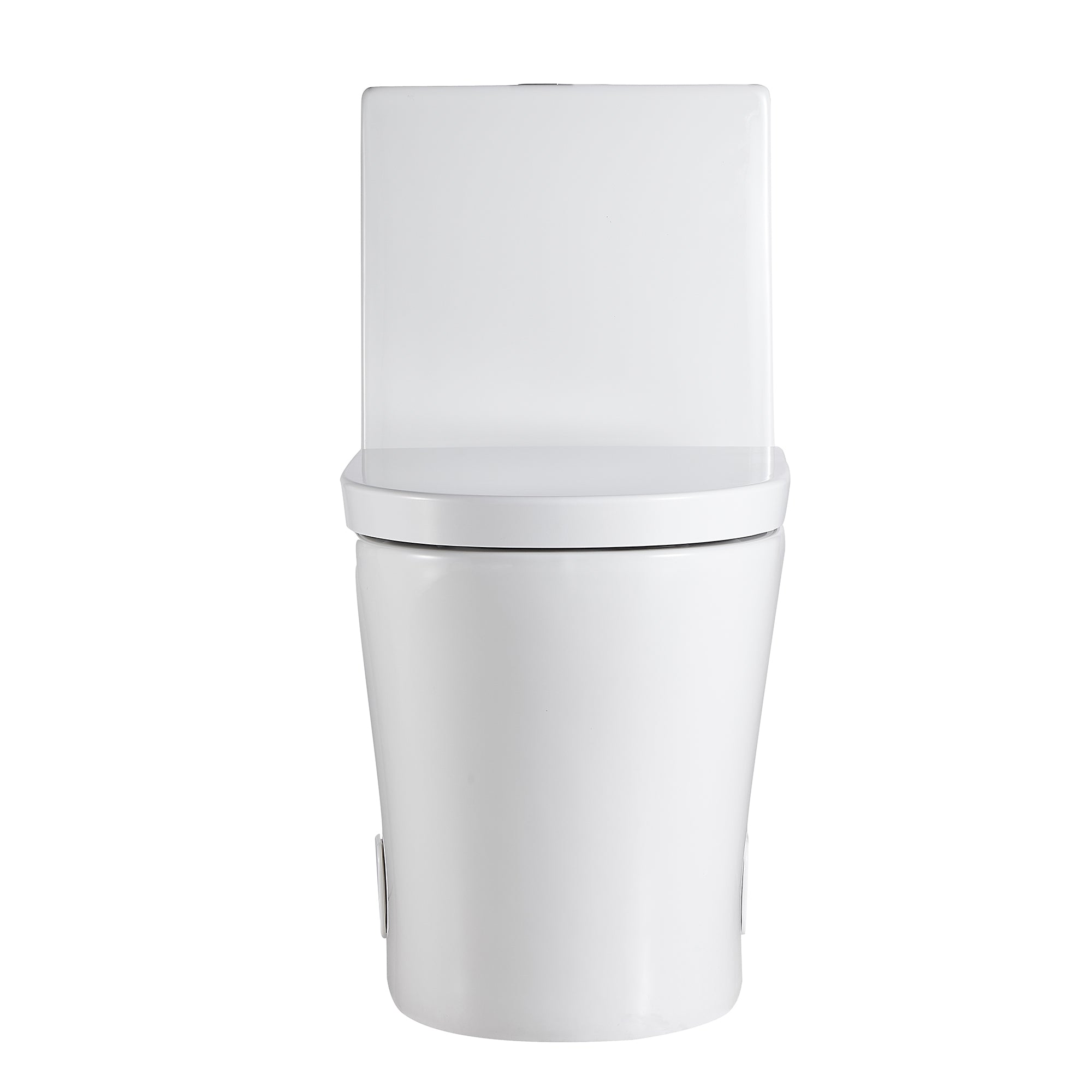 1-piece 0.88/1.28 GPF Dual Flush Elongated Toilet in White Seat Included