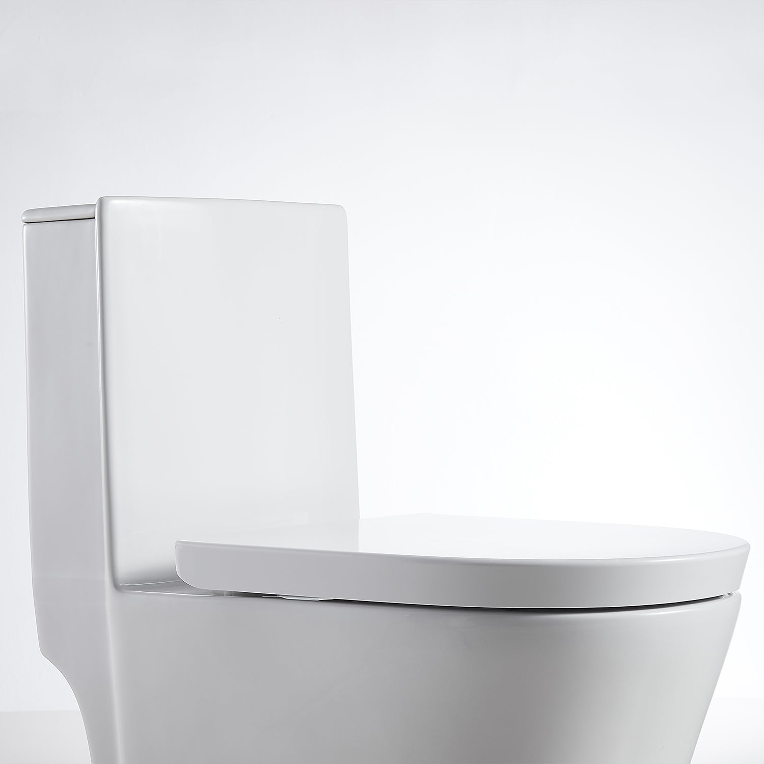 1-piece 0.88/1.28 GPF Dual Flush Elongated Toilet in White Seat Included