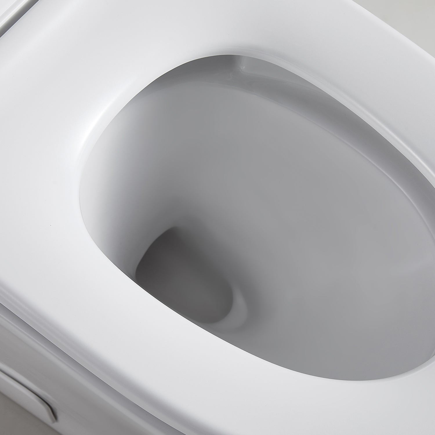 1-piece 0.88/1.28 GPF Dual Flush Elongated Toilet in White Seat Included