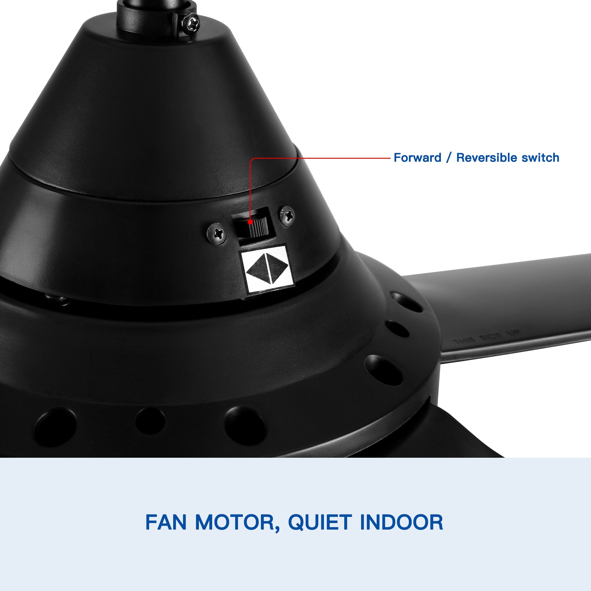 48" Ceiling Fan Light with Remote Control