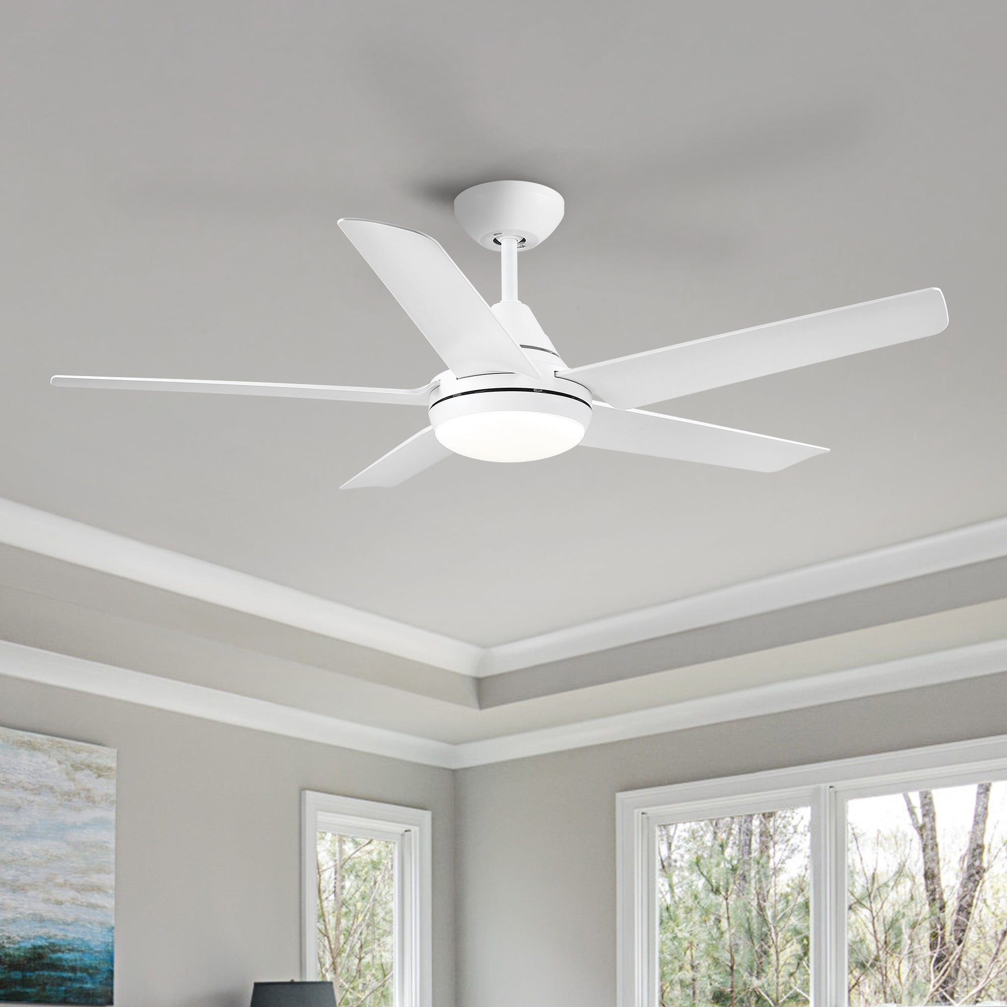 48" Ceiling Fan Light with Remote Control