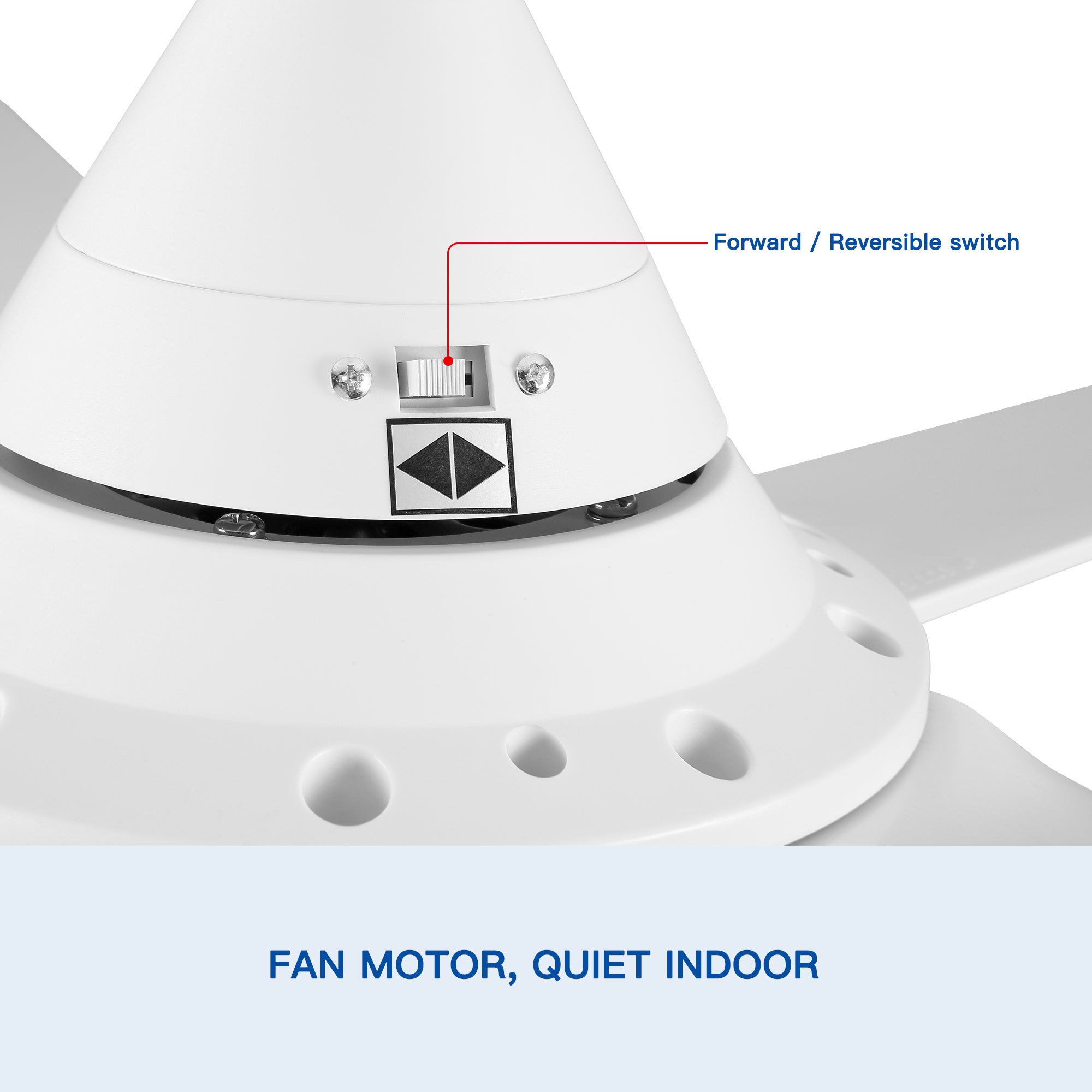 48" Ceiling Fan Light with Remote Control