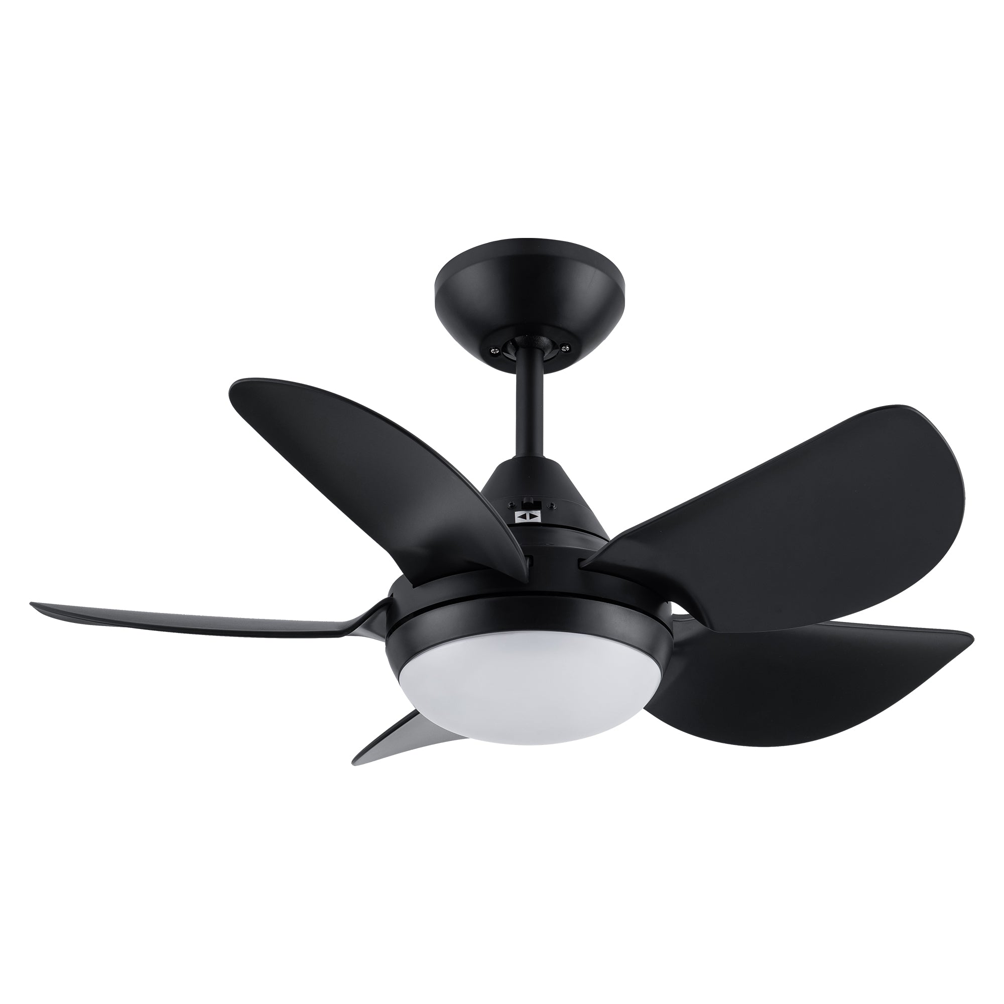 30" Ceiling Fan Light with Remote Control