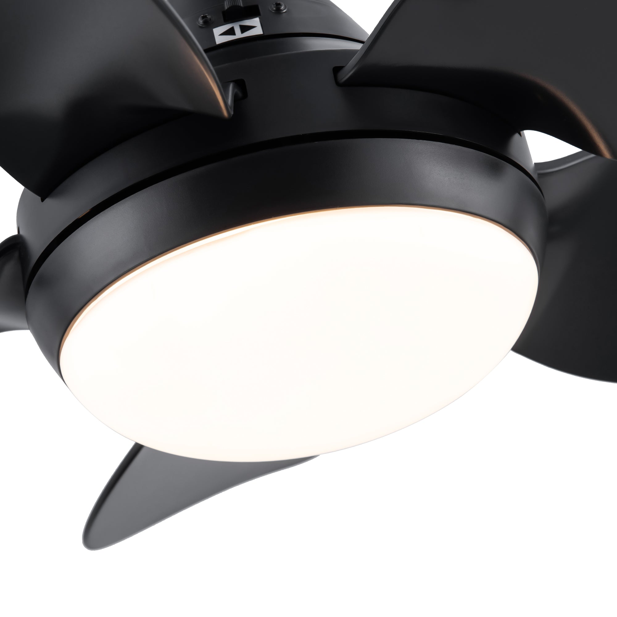 30" Ceiling Fan Light with Remote Control