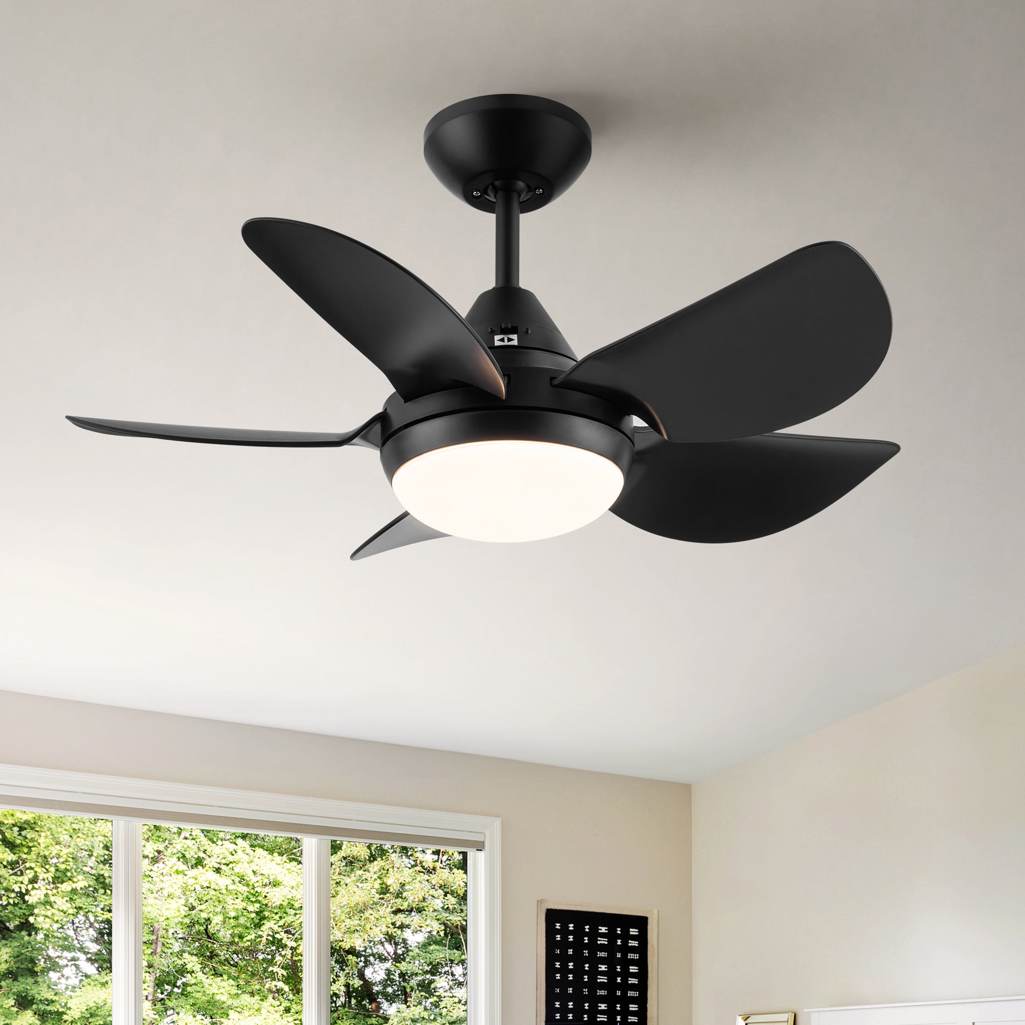30" Ceiling Fan Light with Remote Control