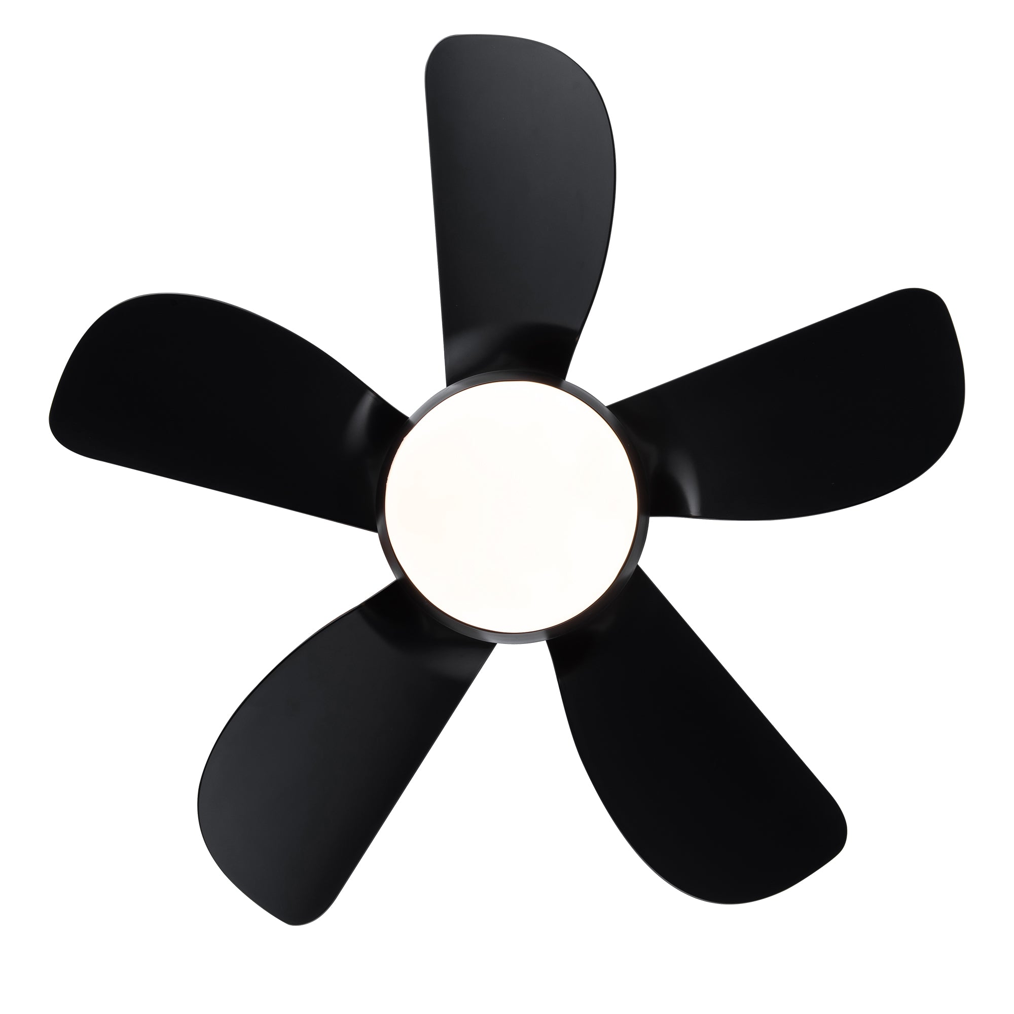 30" Ceiling Fan Light with Remote Control