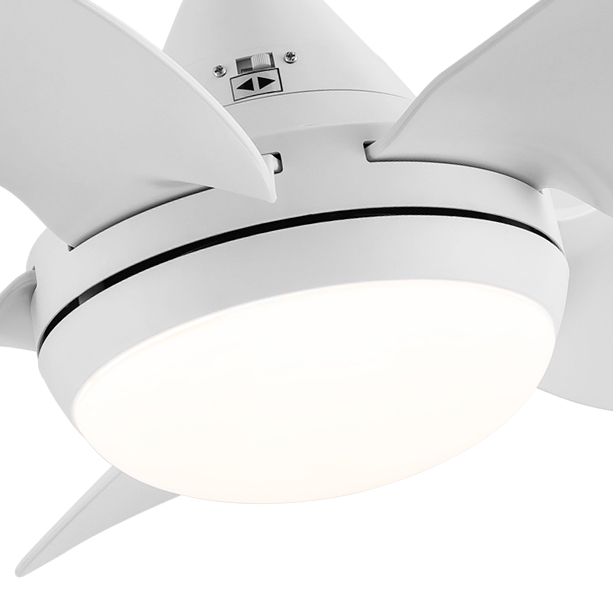 30" Ceiling Fan Light with Remote Control