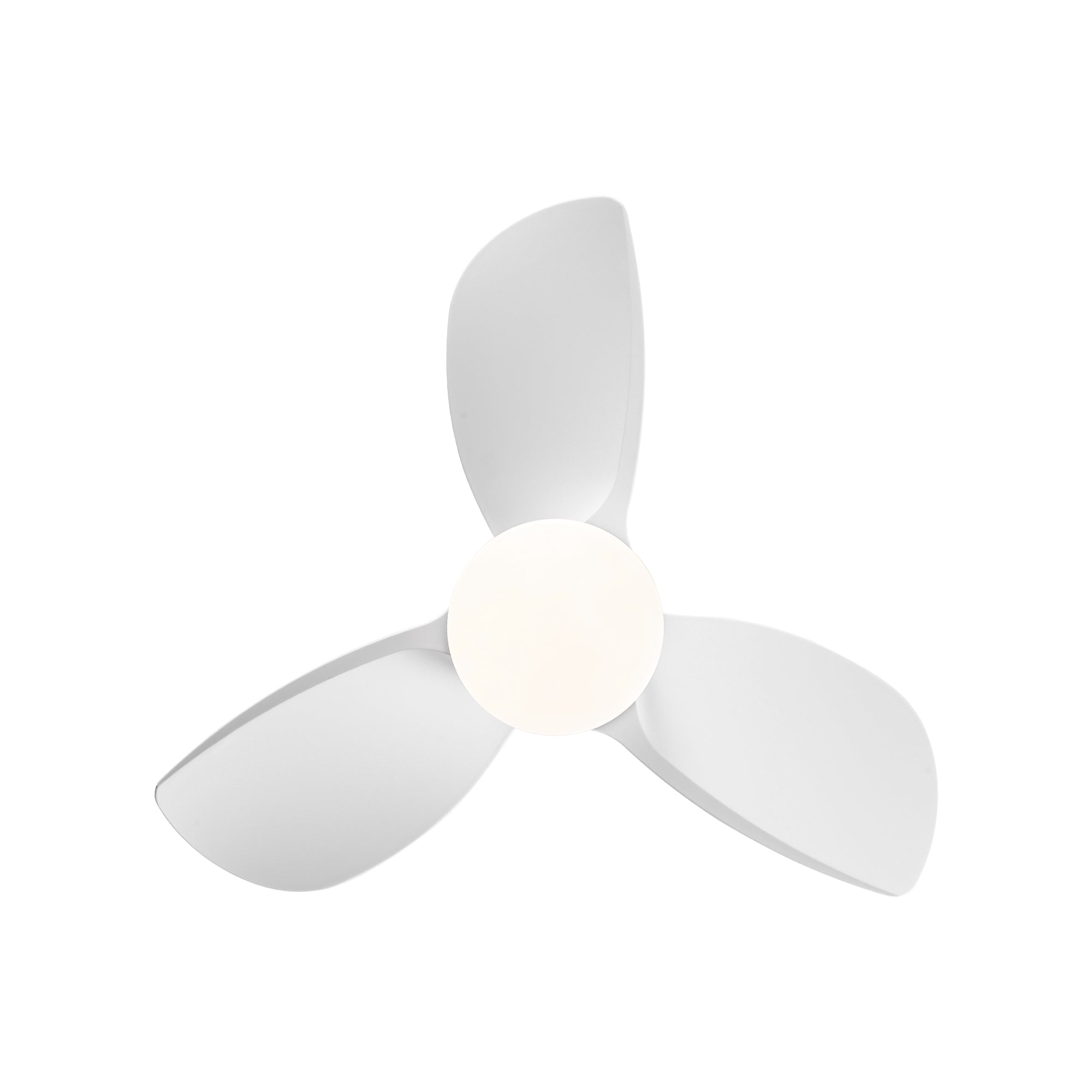 28" Ceiling Fan Light with Remote Control